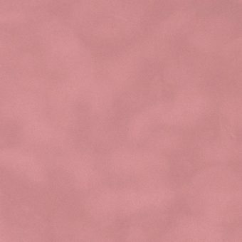 Close up of texture of suede-coated paper Dainel Azalee 72