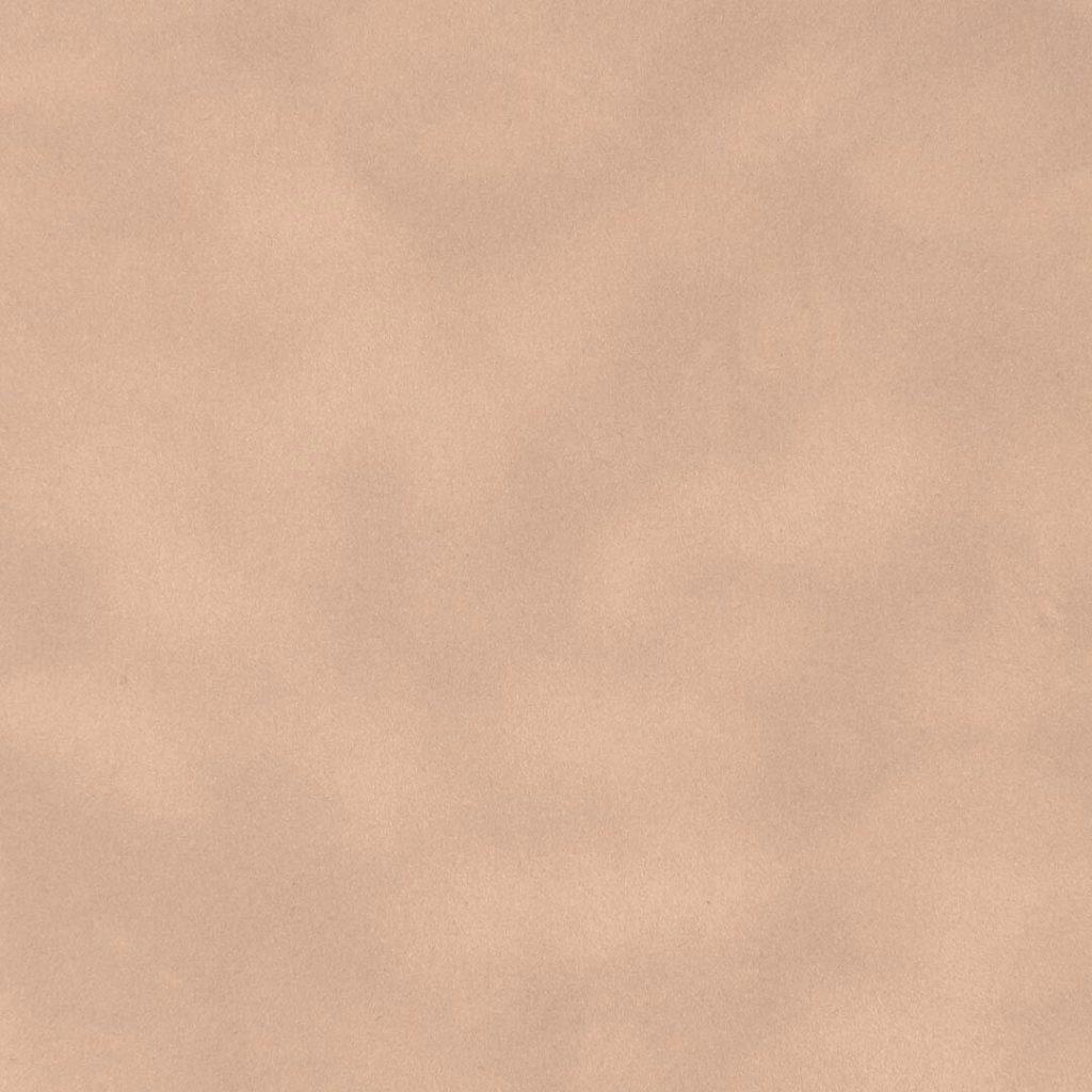 Close up of texture of suede-coated paper Dainel Coquilage 23