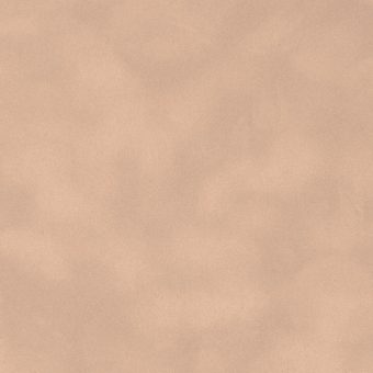 Close up of texture of suede-coated paper Dainel Coquilage 23