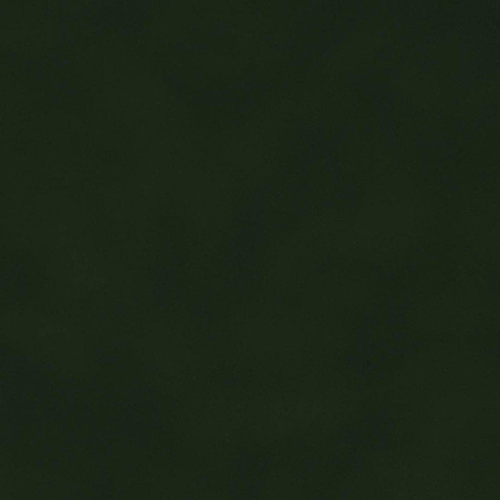 Close up of texture of suede-coated paper Dainel Forest 125