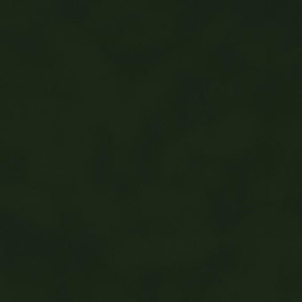 Close up of texture of suede-coated paper Dainel Forest 125