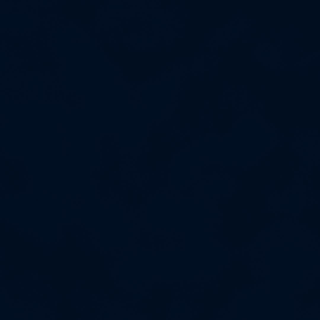 Close up of texture of suede-coated paper Dainel Marine 13