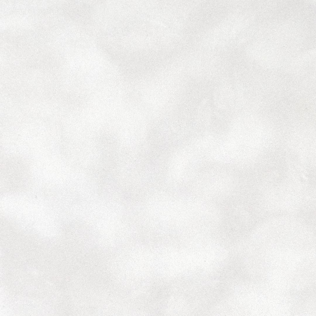 Close up of texture of suede-coated paper Dainel Neige 08