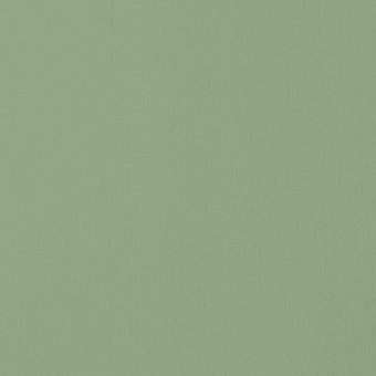 Close up of the texture of paper Geltex Alga K