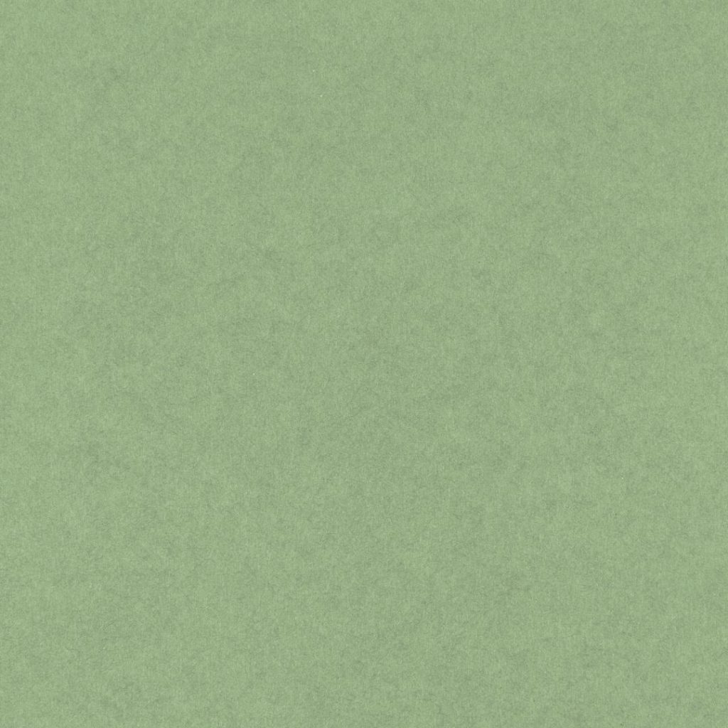 Close up of the texture of paper Geltex Alga LS