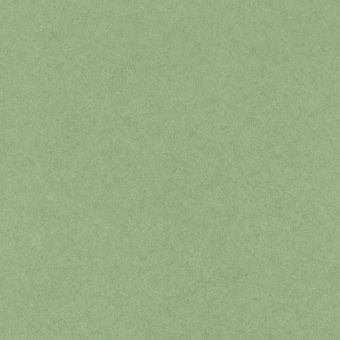 Close up of the texture of paper Geltex Alga LS