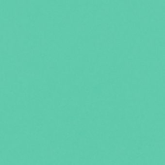 Close up of the texture of paper Geltex Menta Chicle LS