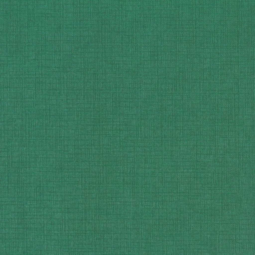 Close up of the texture of paper Geltex Verde Botella K