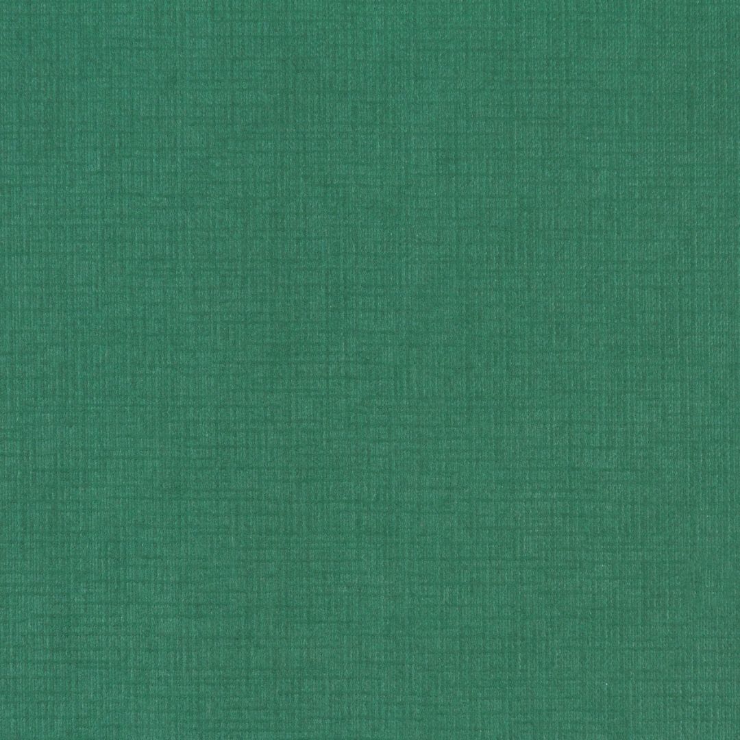 Close up of the texture of paper Geltex Verde Botella K