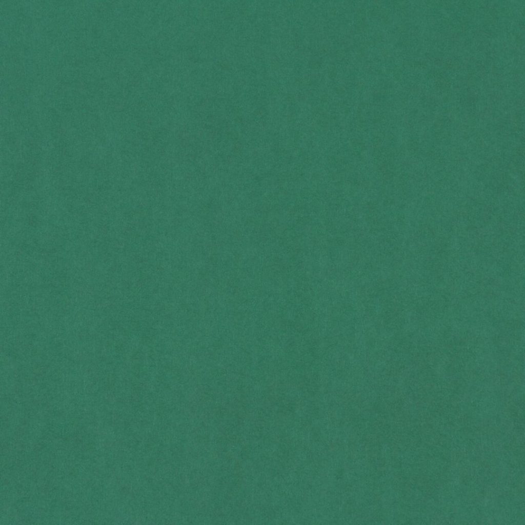 Close up of the texture of paper Geltex Verde Botella LS