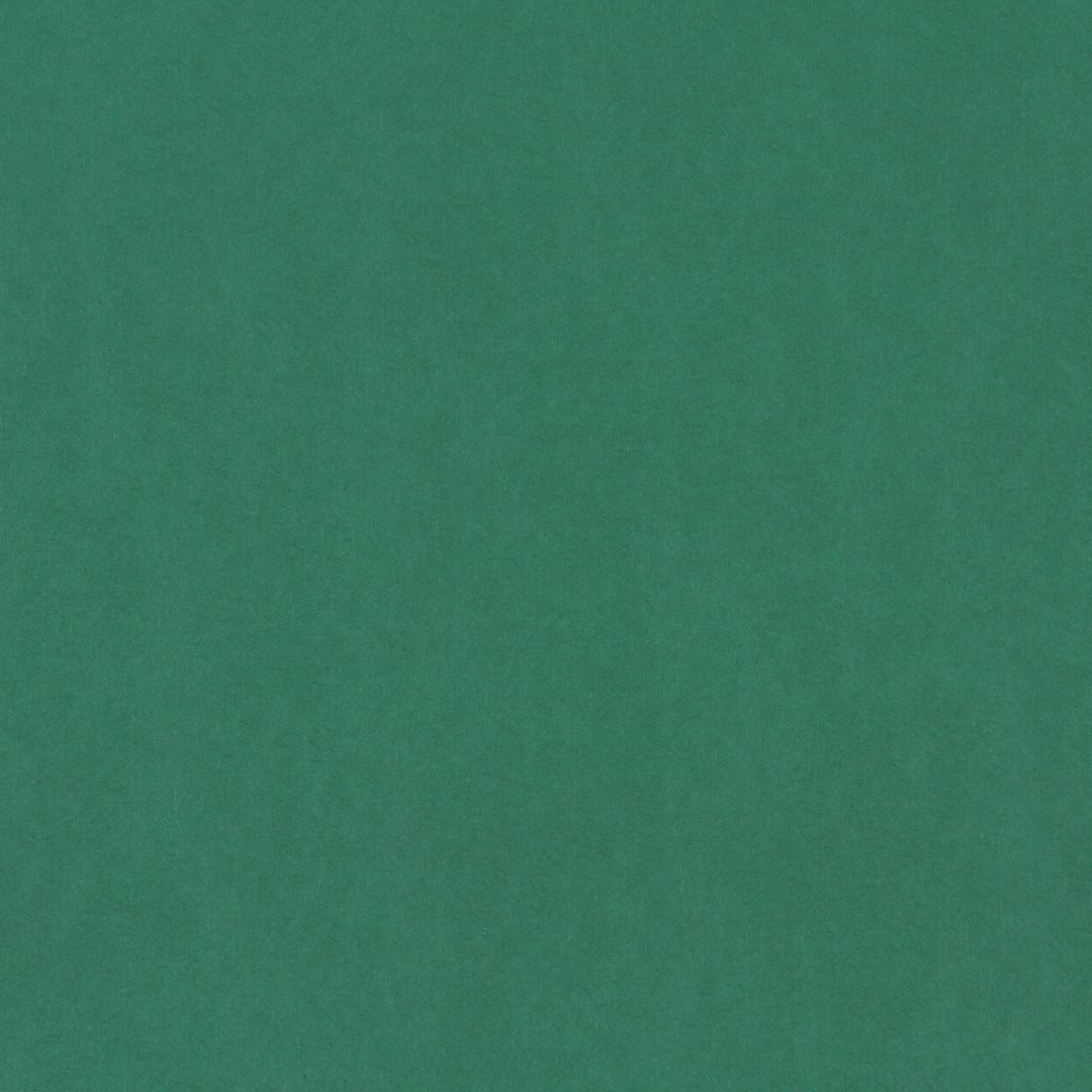 Close up of the texture of paper Geltex Verde Botella LS