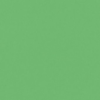 Close up of the texture of paper Geltex Verde Kelly LS