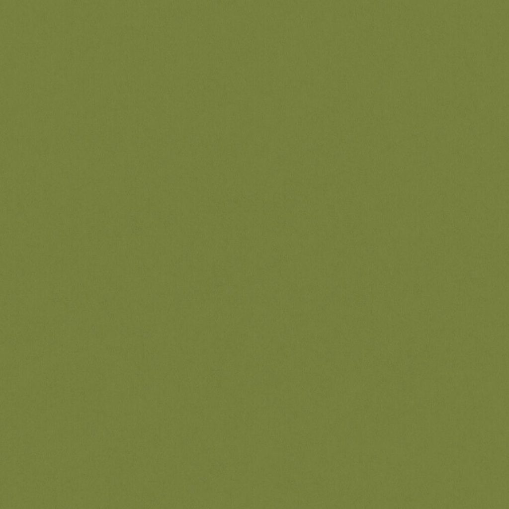 Close up of the texture of paper Geltex Verde Oliva LS