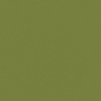 Close up of the texture of paper Geltex Verde Oliva LS