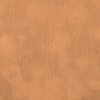 Close up of texture of suede-coated paper Lynel Palea Safran 39