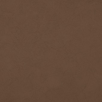 Close up of texture of suede-coated paper Lynel Twig Antilope 06