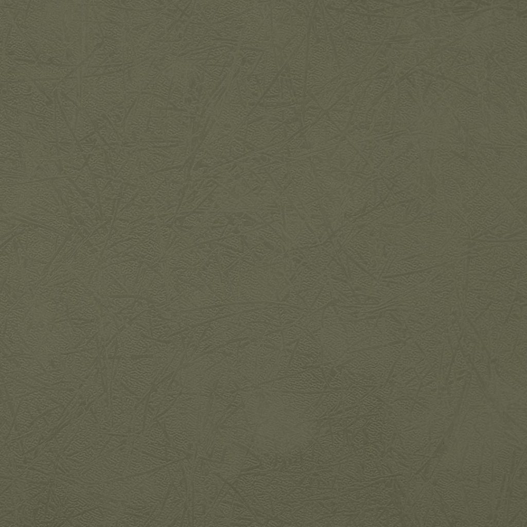 Close up of texture of suede-coated paper Lynel Twig Asperge 34