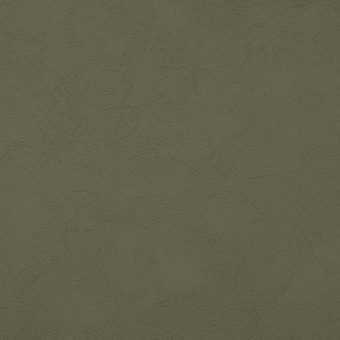 Close up of texture of suede-coated paper Lynel Twig Asperge 34