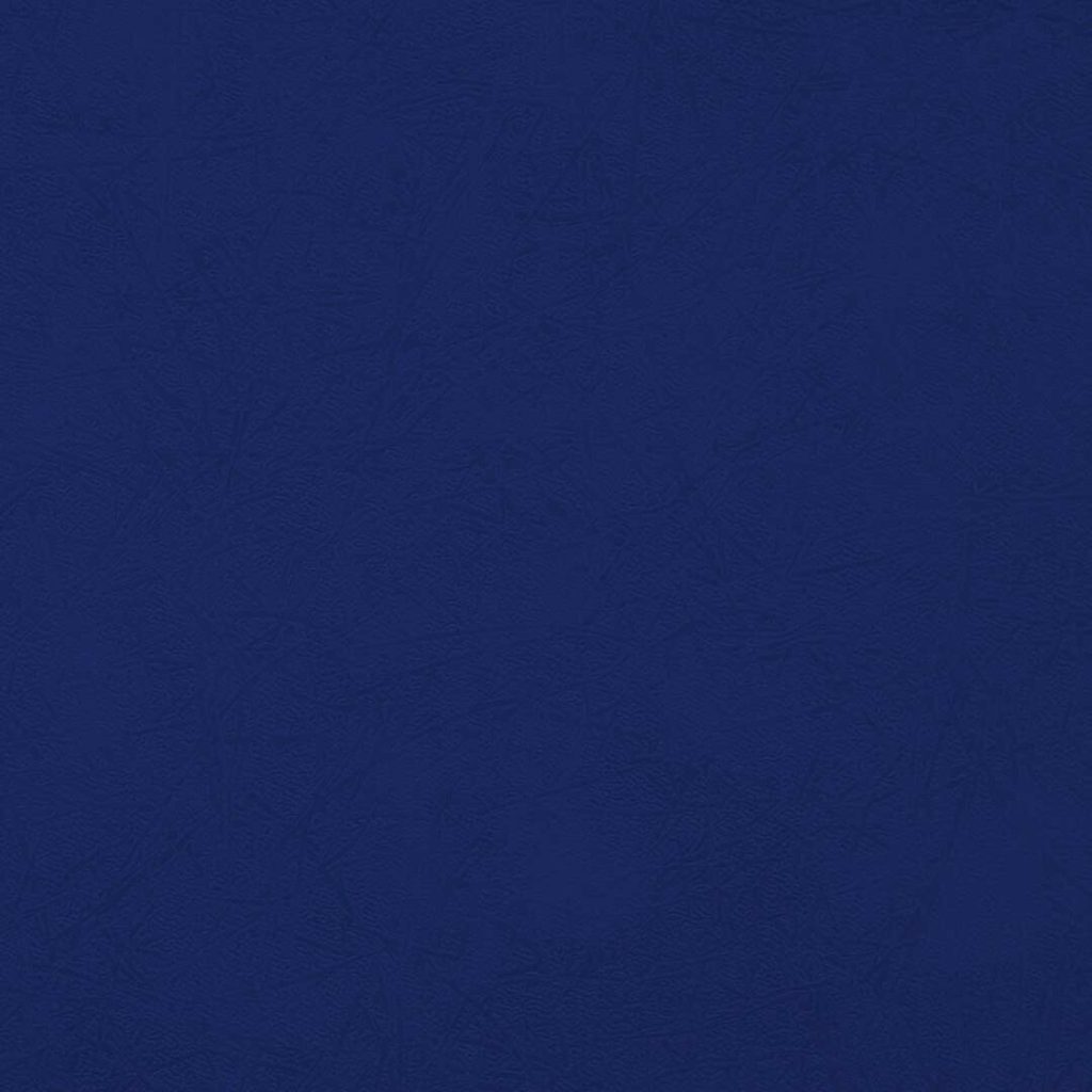 Close up of texture of suede-coated paper Lynel Twig Iris 127