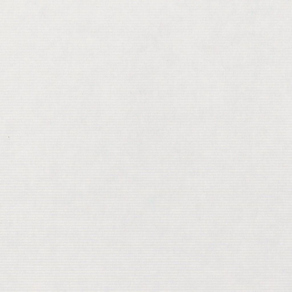 Close up of the texture of paper Masterblank Lino CN