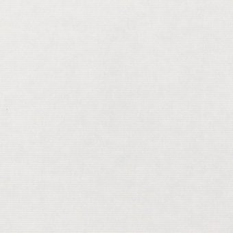 Close up of the texture of paper Masterblank Lino CN