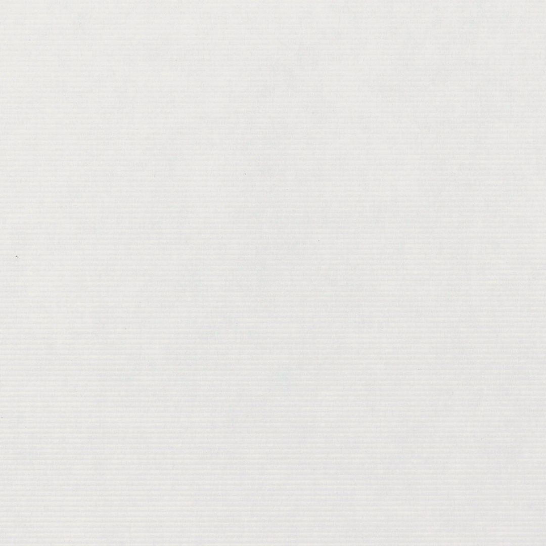 Close up of the texture of paper Masterblank Lino CN