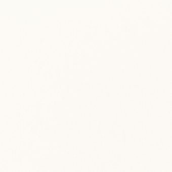 Close up of the texture of paper Masterblank Lino LS