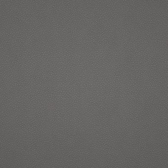 Close up of texture of PU material Pampas 187