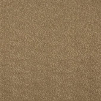 Close up of texture of PU material Pampas 317