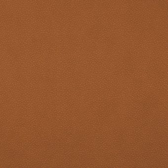 Close up of texture of PU material Pampas 325