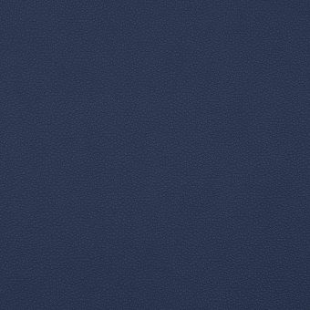 Close up of texture of PU material Pampas 331