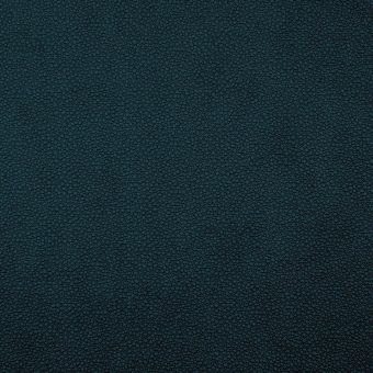 Close up of texture of PU material Pampas K86