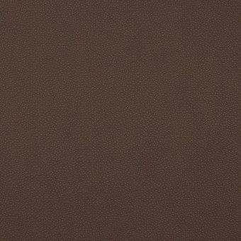 Close up of texture of PU material Pampas L59