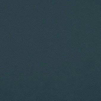 Close up of texture of PU material Pampas L95