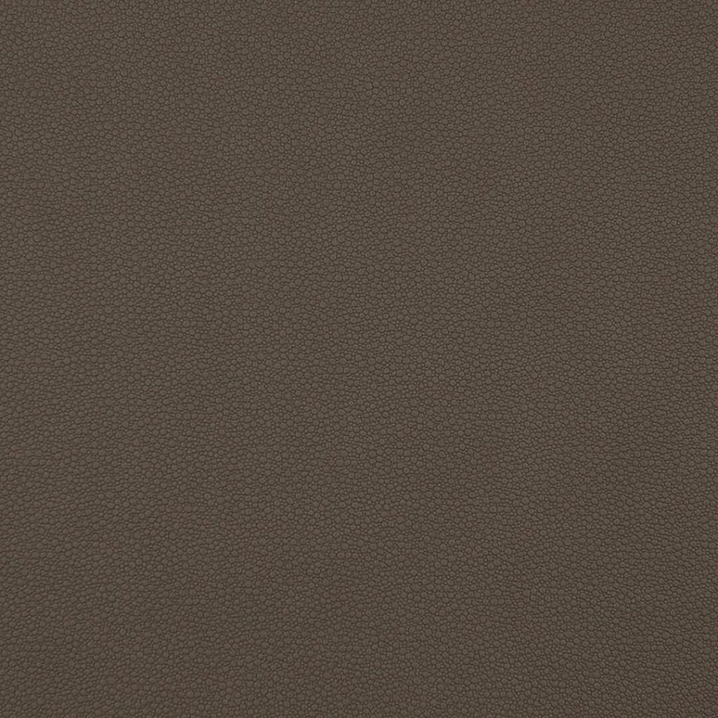 Close up of texture of PU material Pampas P19