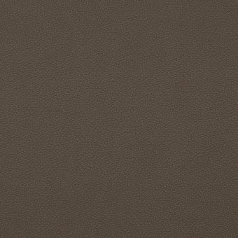 Close up of texture of PU material Pampas P19