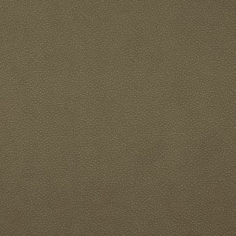 Close up of texture of PU material Pampas T84