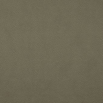 Close up of texture of PU material Pampas T85