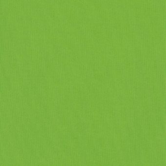 Close up of texture of textile-coated paper Savanna 5122 Spring