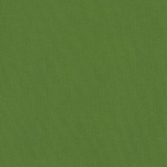 Close up of texture of textile-coated paper Savanna 5180 Olive