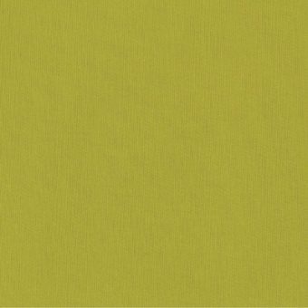 Close up of texture of textile-coated paper Savanna 5210 Lime
