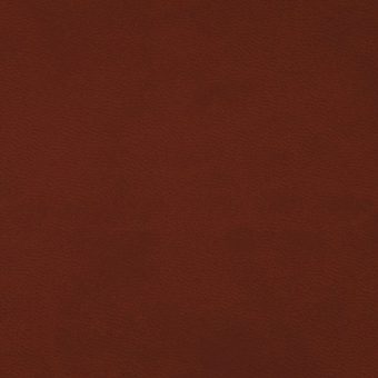 Close up of texture of PU material Winner 003