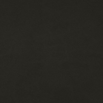 Close up of texture of PU material Winner 019