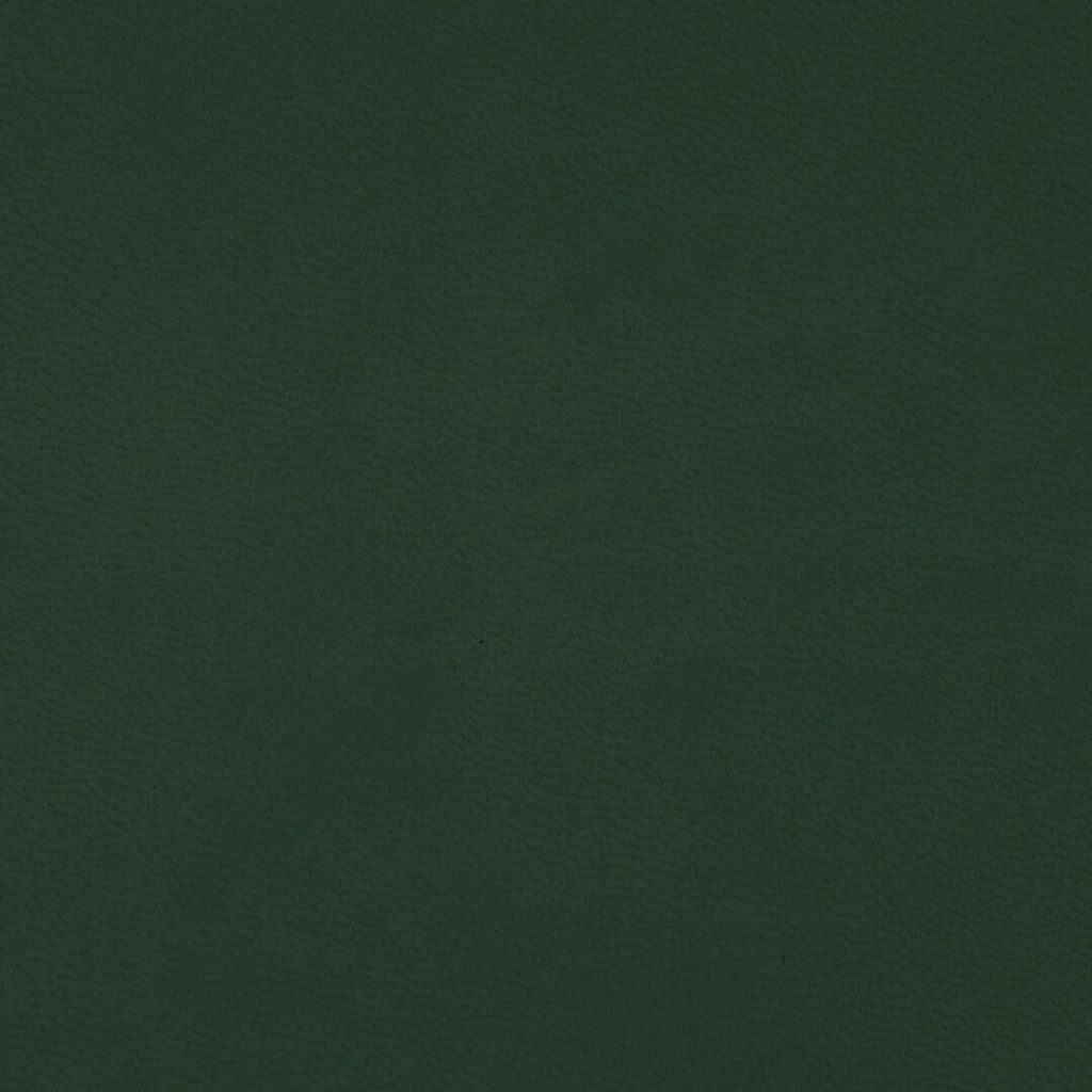 Close up of texture of PU material Winner 031