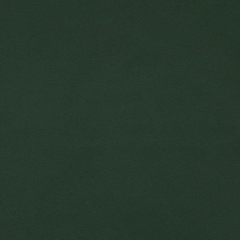 Close up of texture of PU material Winner 031