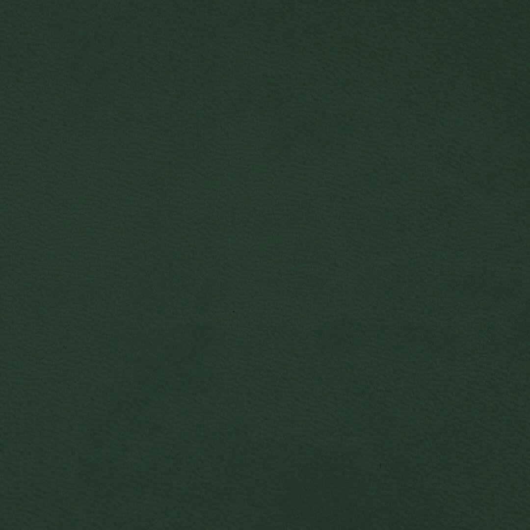 Close up of texture of PU material Winner 031