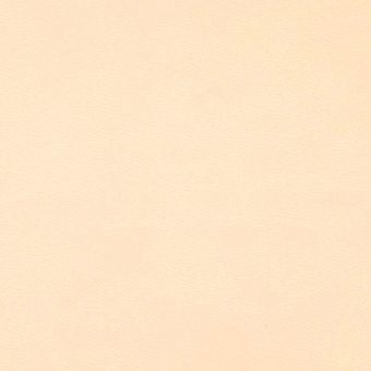 Close up of texture of PU material Winner 112