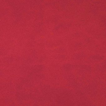 Close up of texture of PU material Winner 315