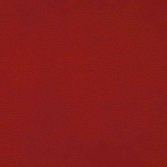 Close up of texture of PU material Winner L15