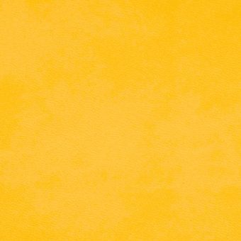 Close up of texture of PU material Winner L16